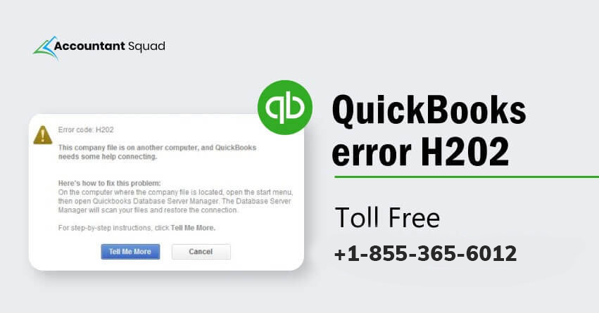 quickbooks error h202